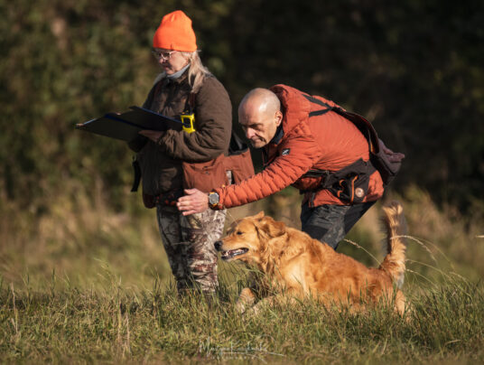 CZWORONOGI–CZWORONOGOM, zdjęcie: SIRVIS nad Jeziorem Serwy - zdjęcie z zawodów - zobacz jak trenujemy aporty w otoczeniu Puszczy Augustowskiej