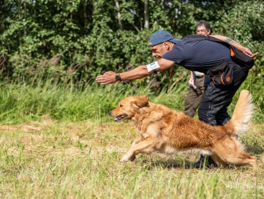 CZWORONOGI–CZWORONOGOM, zdjęcie: SIRVIS nad Jeziorem Serwy - zdjęcie z zawodów - zobacz jak trenujemy aporty w otoczeniu Puszczy Augustowskiej