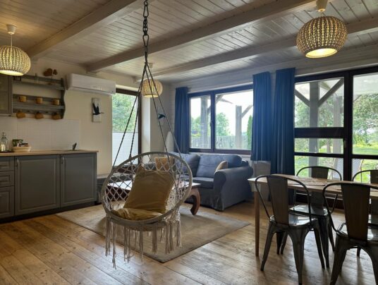 KORMORANY - Galeria, zdjęcie: apartamenty nad jeziorem Serwy - SIRVIS - Suwalszczyzna