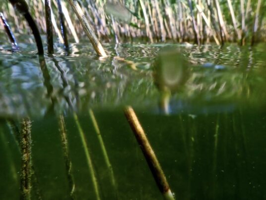 SIRVIS na wodzie, zdjęcie: nurkowanie - SIRVIS - jezioro Serwy - Suwalszczyzna
