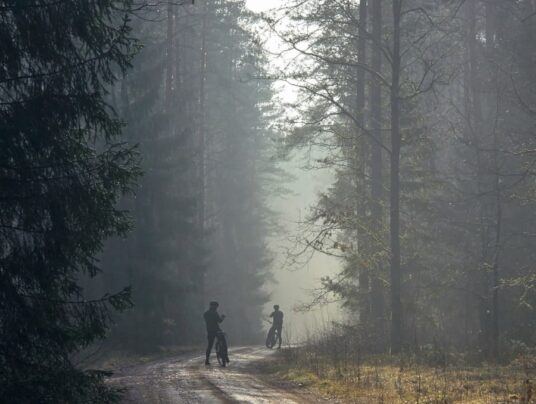 SIRVIS okolice, zdjęcie: rowerem po okolicy - SIRVIS - Suwalszczyzna