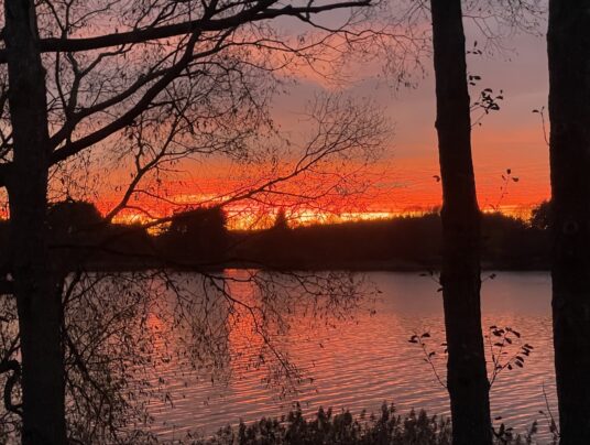 SIRVIS teren, zdjęcie: widok na jezioro - SIRVIS - jezioro Serwy - Suwalszczyzna