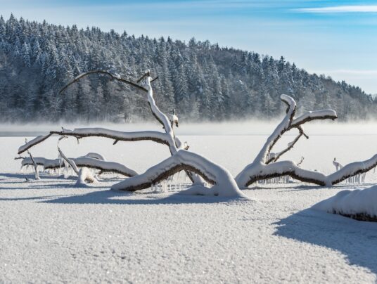 The best of..., zdjęcie: Suwalszczyzna - najpiękniejsze krajobrazy i natura w naszej okolicy | SIRVIS Apartamenty