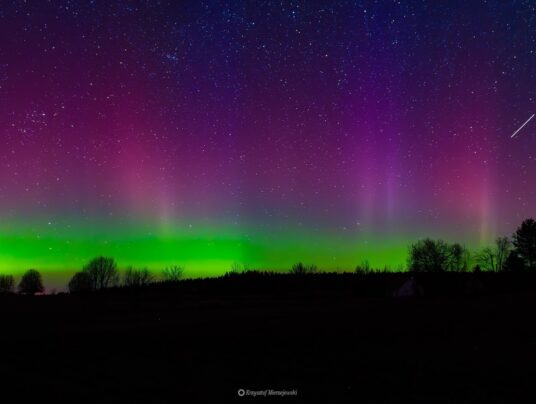 The best of..., zdjęcie: Suwalszczyzna - najpiękniejsze krajobrazy i natura w naszej okolicy | SIRVIS Apartamenty