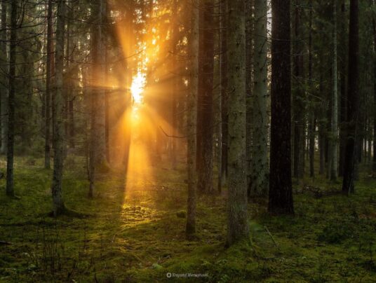 The best of..., zdjęcie: Suwalszczyzna - najpiękniejsze krajobrazy i natura w naszej okolicy | SIRVIS Apartamenty