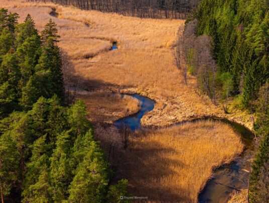 The best of..., zdjęcie: Suwalszczyzna - najpiękniejsze krajobrazy i natura w naszej okolicy | SIRVIS Apartamenty