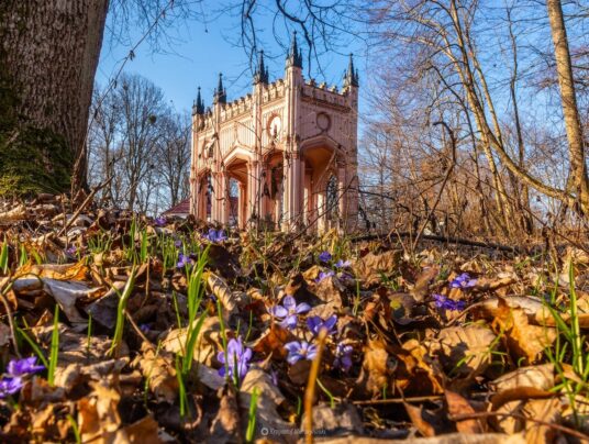 The best of..., zdjęcie: Suwalszczyzna - najpiękniejsze krajobrazy i natura w naszej okolicy | SIRVIS Apartamenty