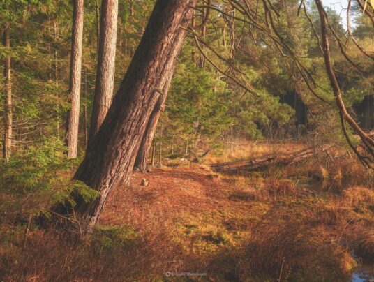The best of..., zdjęcie: Suwalszczyzna - najpiękniejsze krajobrazy i natura w naszej okolicy | SIRVIS Apartamenty