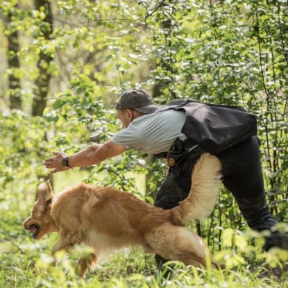 SIRVIS nad Jeziorem Serwy - zobacz jak trenujemy aporty w otoczeniu Puszczy Augustowskiej