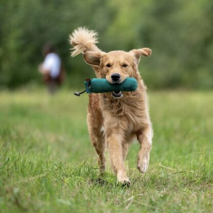 SIRVIS nad Jeziorem Serwy - zobacz jak trenujemy aporty w otoczeniu Puszczy Augustowskiej